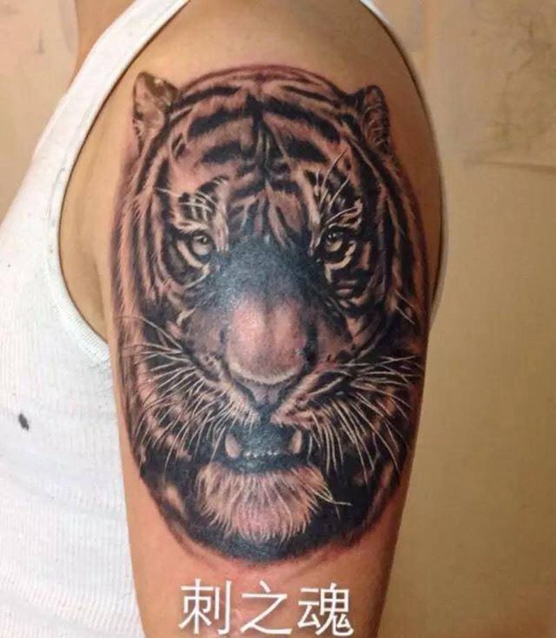 老虎纹身图片_成品肩部欧美写实动物原创纹身图案