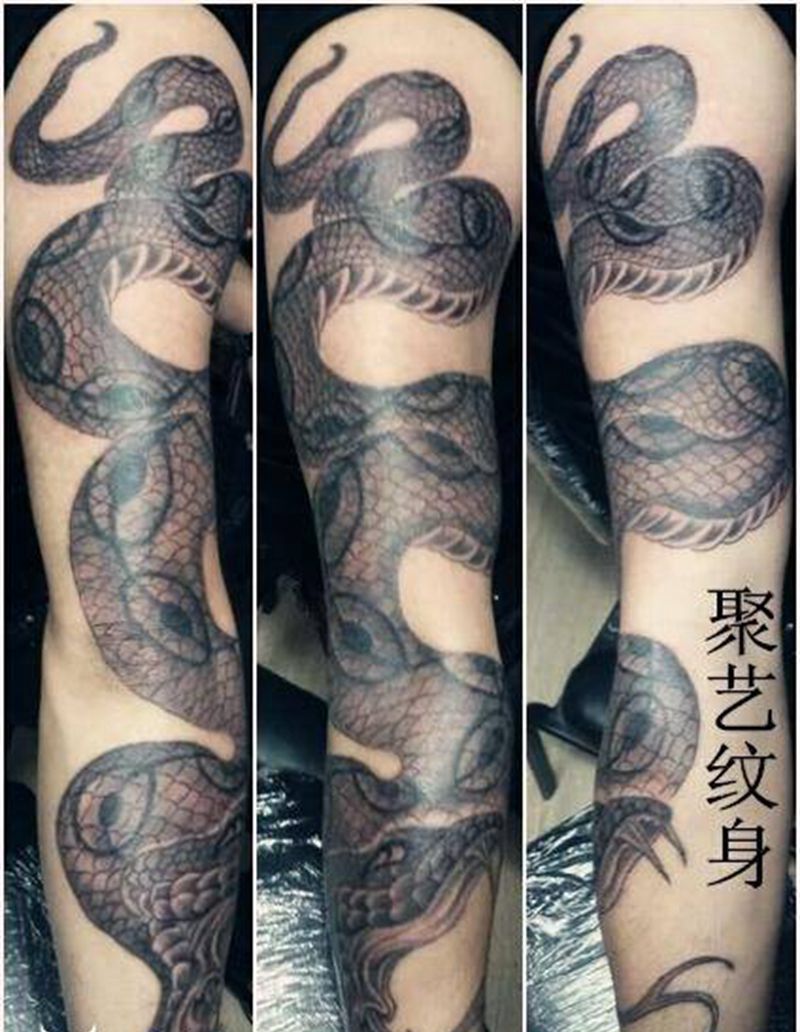 盘臂蟒纹身图片_手臂传统动物原创成品纹身图案