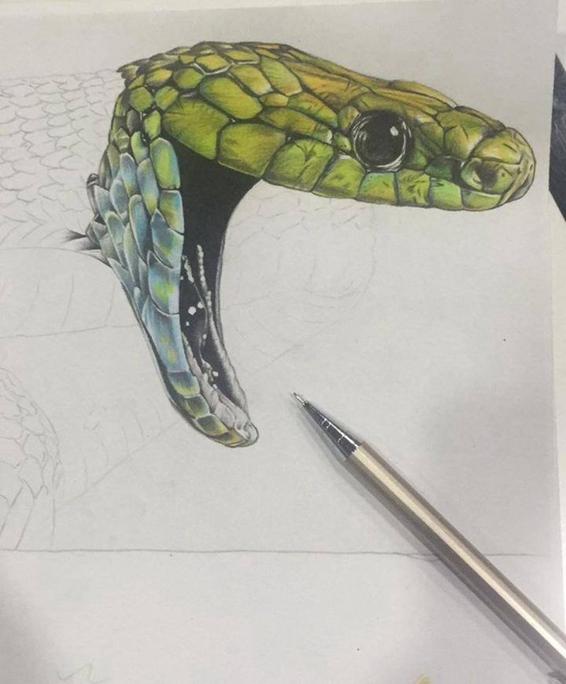 日常随笔纹身图片_手稿写实动物纹身图案