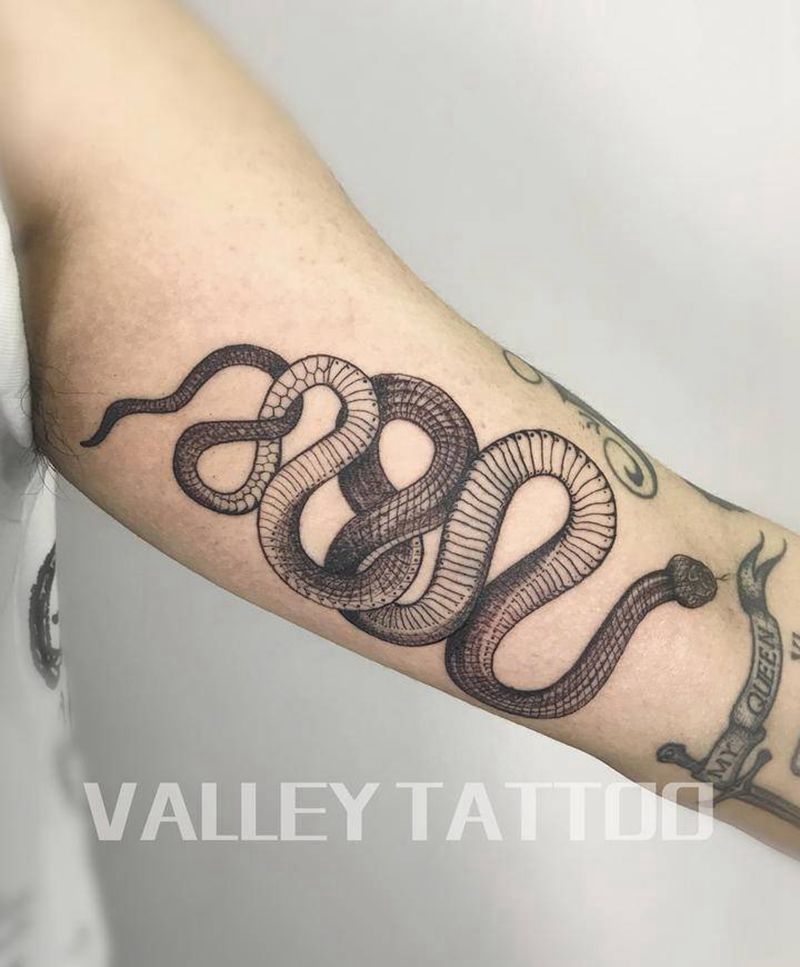 线条 蛇纹身图片_手臂线条纹身图案