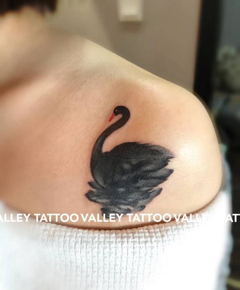 遮盖 黑天鹅纹身图片_肩部纹身图案