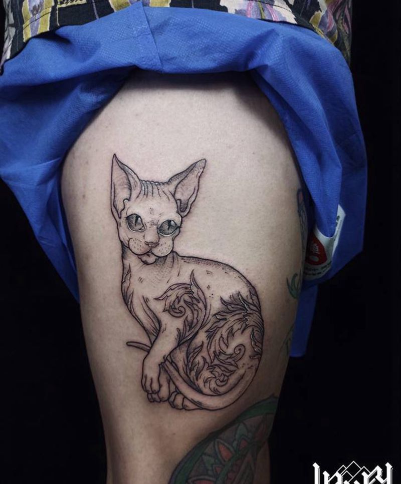 无毛猫纹身图片_腿部纹身图案