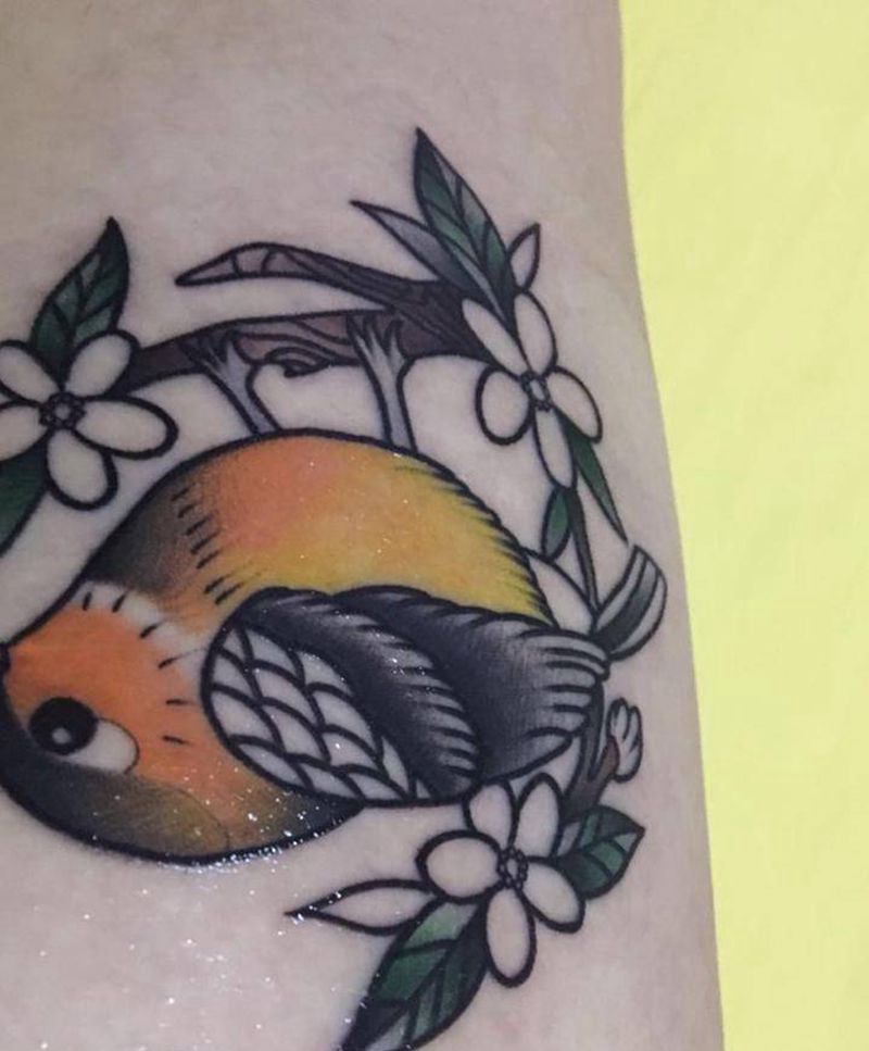 SCHOOL 知更鸟 未完成纹身图片_腿部手臂New SchoolOld School纹身图案