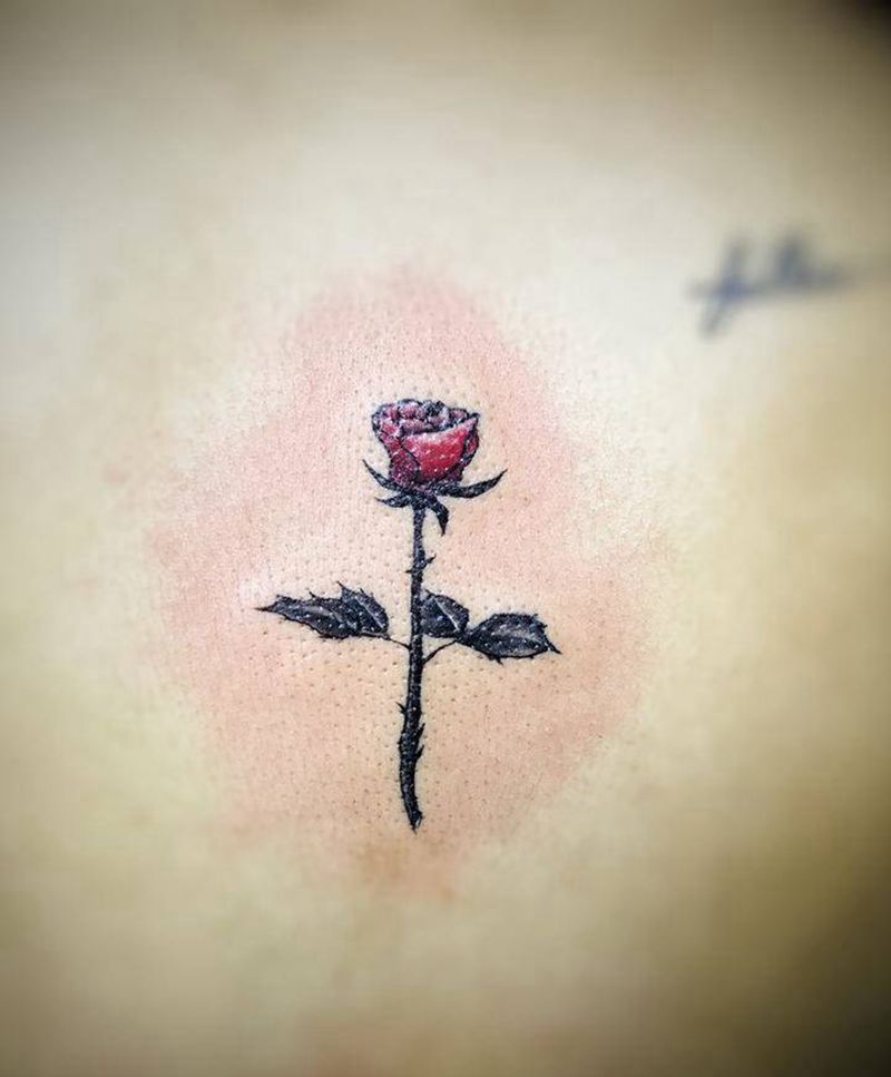 玫瑰纹身图片_