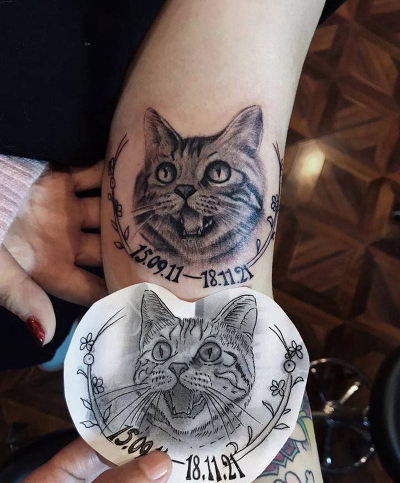 肖像猫纹身图片_
