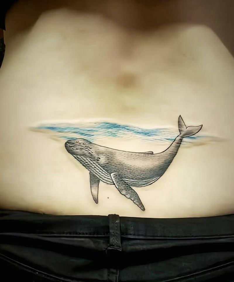 腰部鲸鱼纹身图片_腰部欧美写实纹身图案