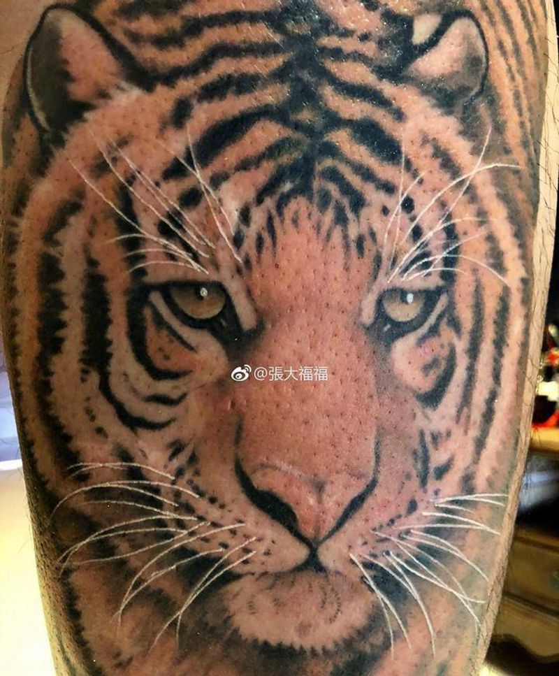 虎纹身图片_成品腿部腰部传统国画动物写实彩色纹身图案