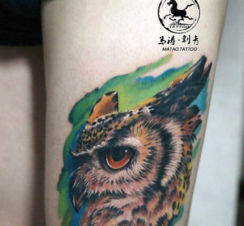 猫头鹰 （欧美）纹身图片_欧美纹身图案