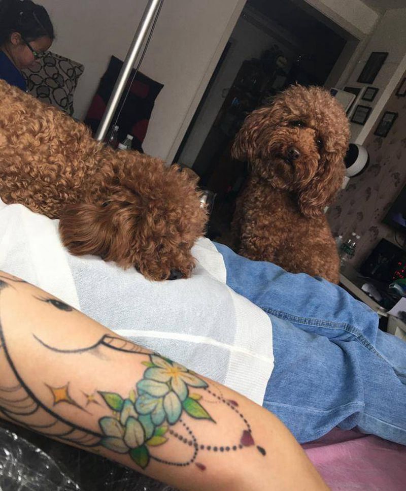 它太喜欢看我了。。。纹身图片_手臂水彩New School独角兽纹身图案