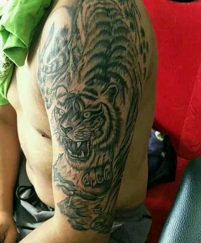 下山虎纹身图片_手臂传统动物成品纹身图案