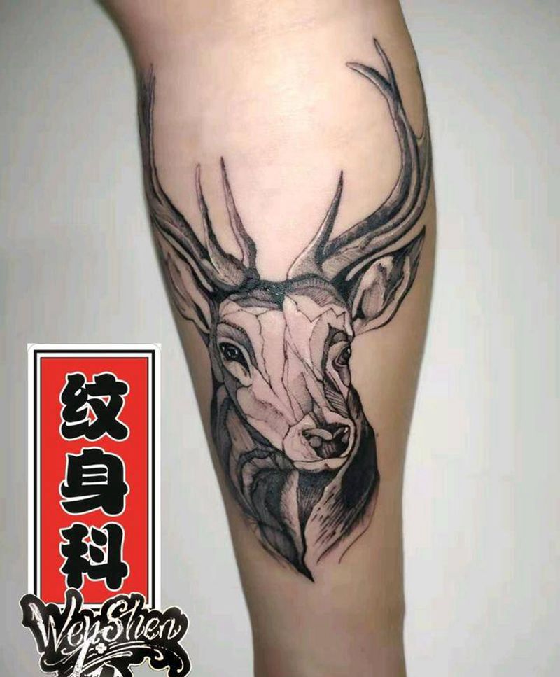 驯鹿纹身图片_手臂点刺图腾驯鹿纹身图案
