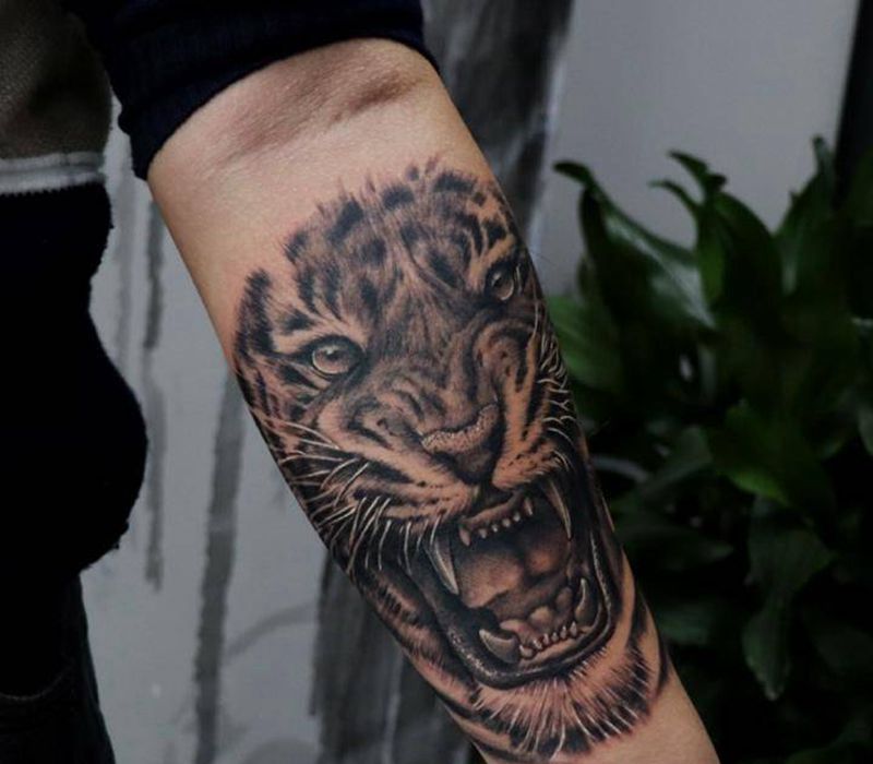 Tiger纹身图片_