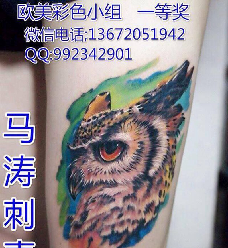 猫头鹰纹身图片_