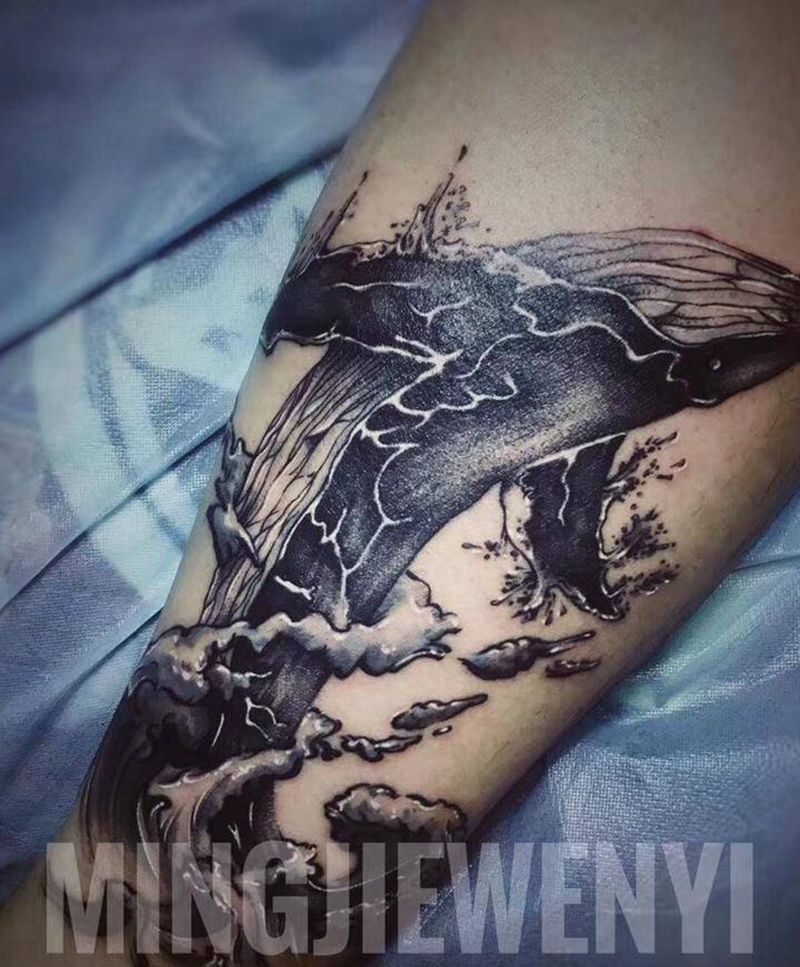 《鲸鱼》纹身图片_