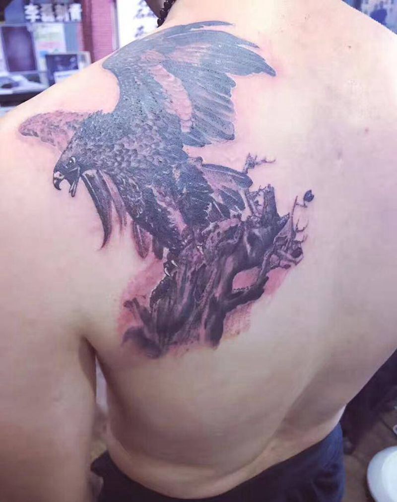 枯鹰亮翅纹身图片