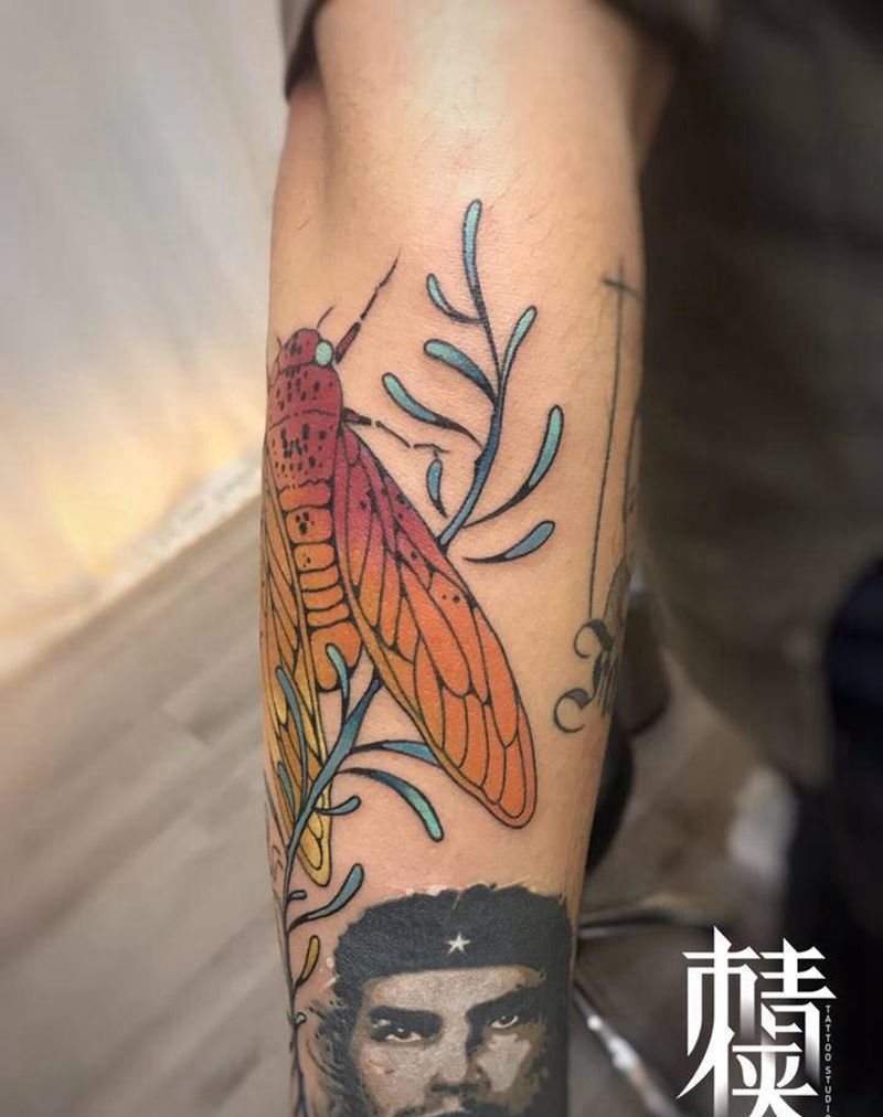 蝉纹身图片_手臂New SchoolOld School纹身图案