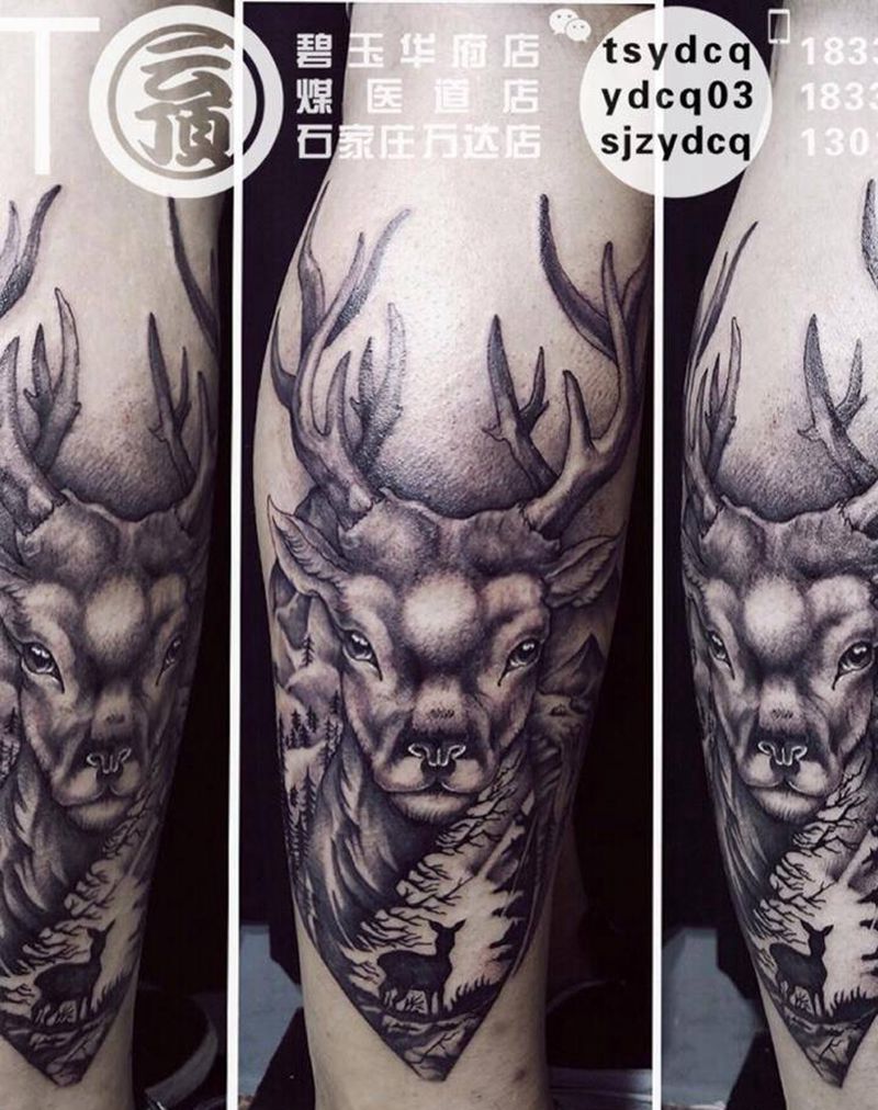 写实风格鹿纹身图片_成品腿部欧美写实原创动物纹身图案