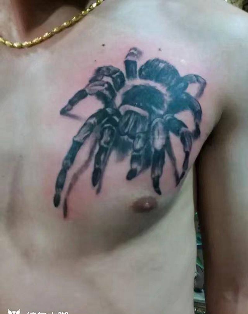 大蜘蛛纹身图片_胸部欧美写实动物纹身图案