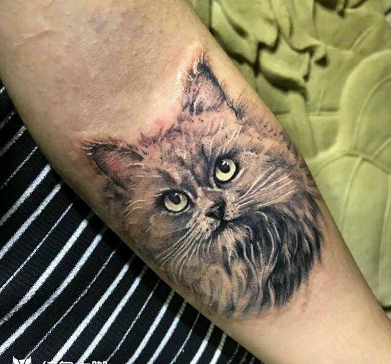 顾客家的小猫纹身图片