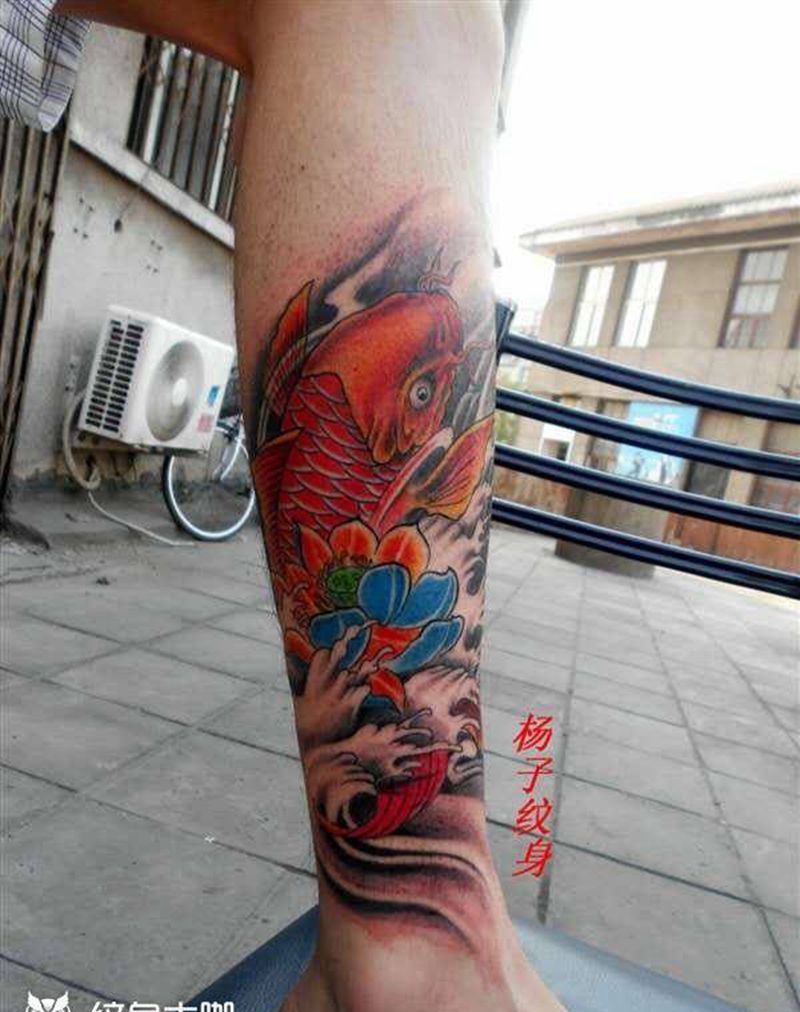 杨子纹身纹身图片