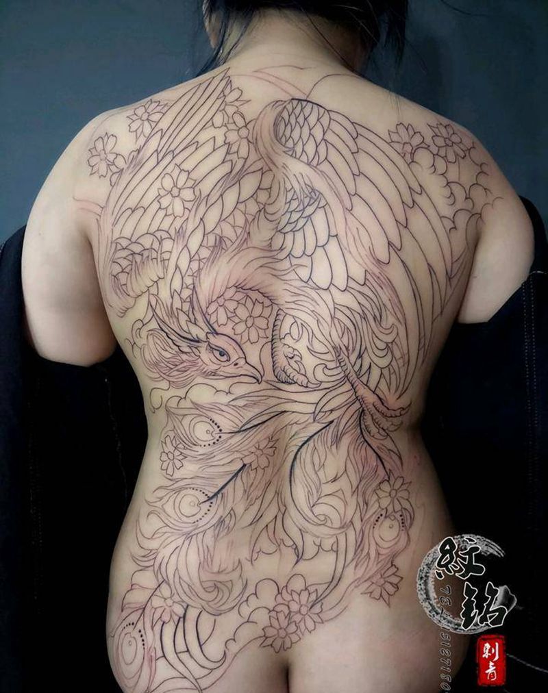 满背凤凰 割线纹身图片_背部纹身图案