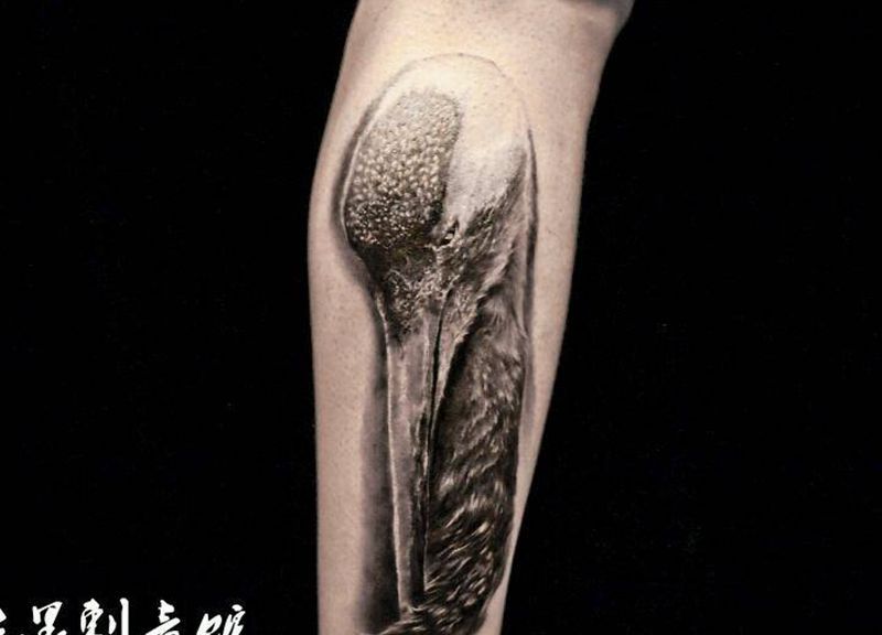 鹤纹身图片