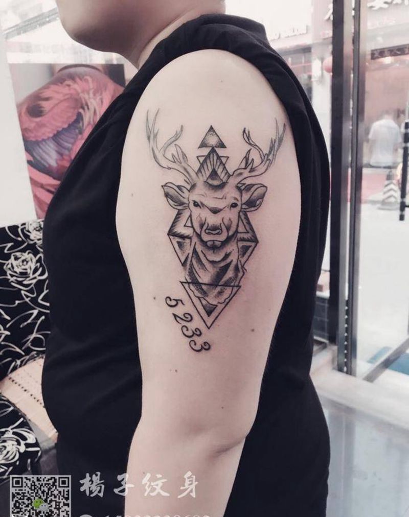 杨子纹身纹身图片