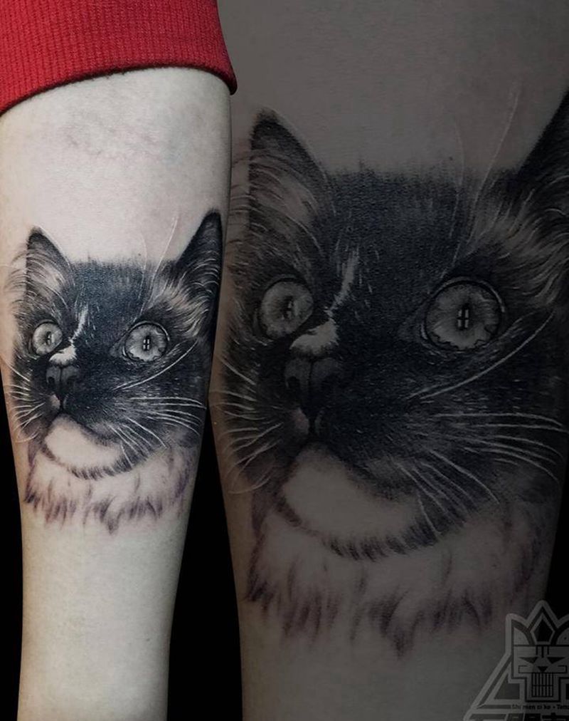 布偶猫纹身图片_成品手臂肖像欧美写实动物纹身图案