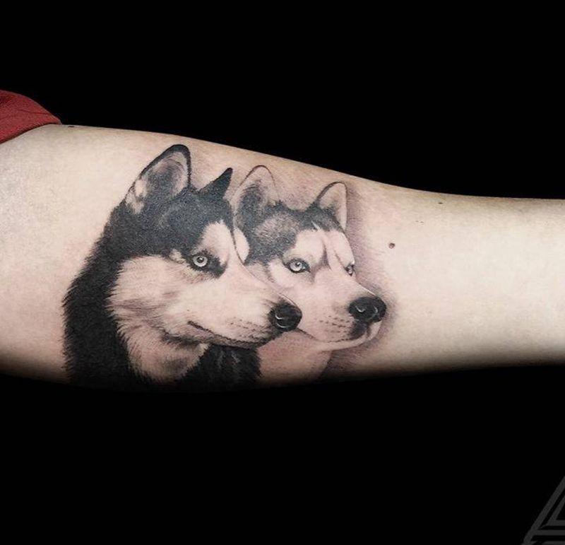 哈士奇纹身图片_成品手臂欧美写实肖像动物纹身图案