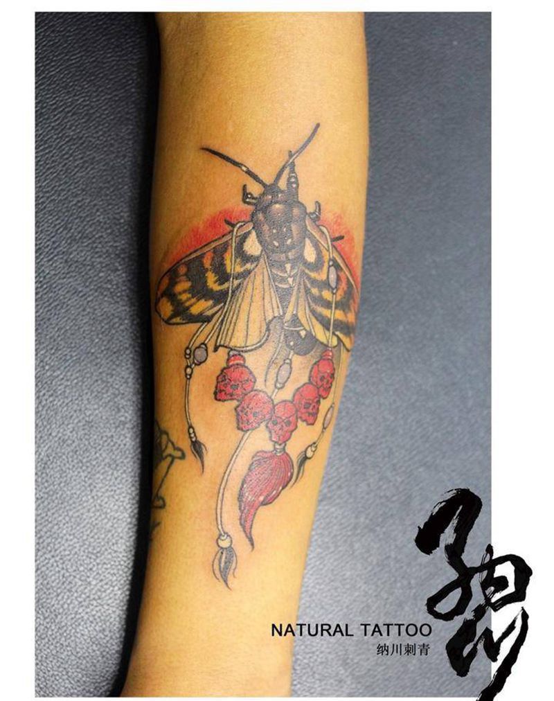 天蛾纹身图片_成品手臂欧美school动物纹身图案