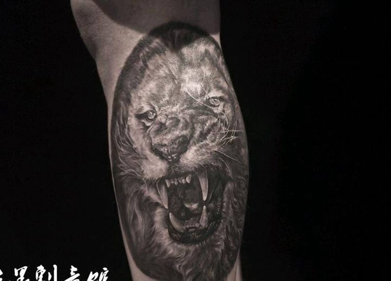 怒吼的雄狮纹身图片