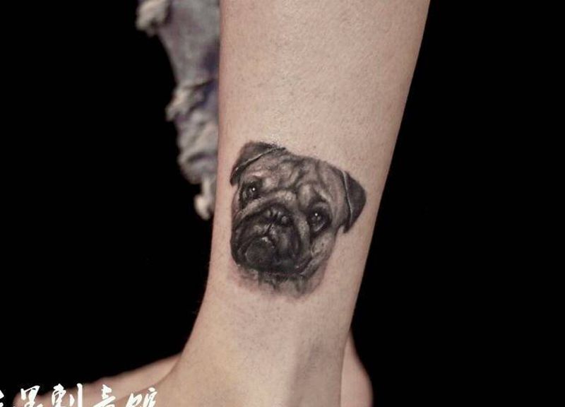 小八哥纹身图片