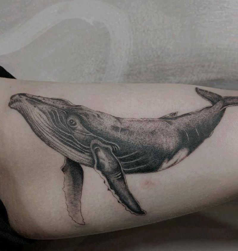 鲸鱼纹身图片_手臂欧美写实鲸鱼纹身图案