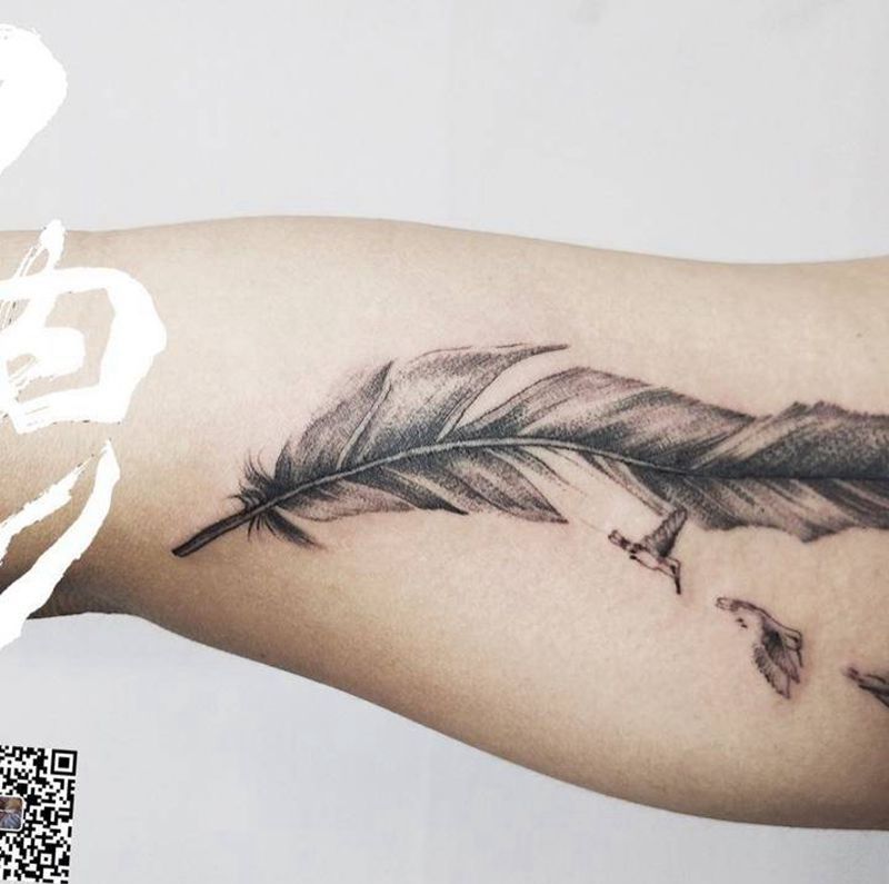 单针羽毛纹身图片_成品手臂欧美写实清新动物静物黑白点刺纹身图案