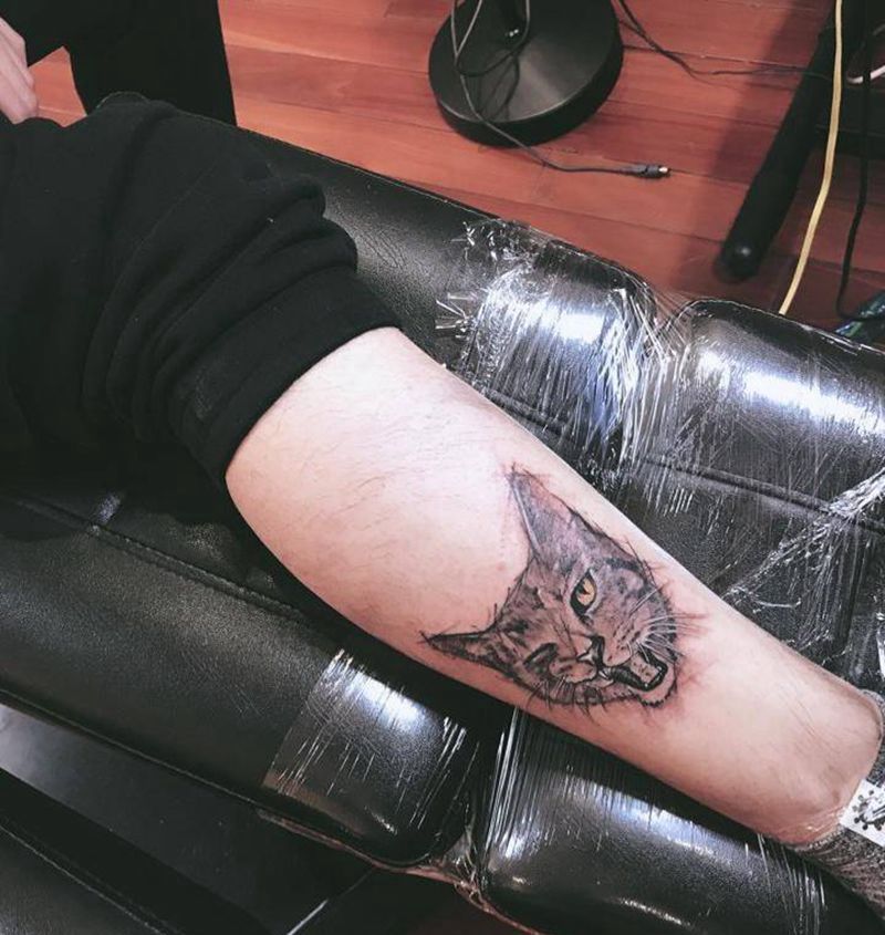 猫咪一枚纹身图片