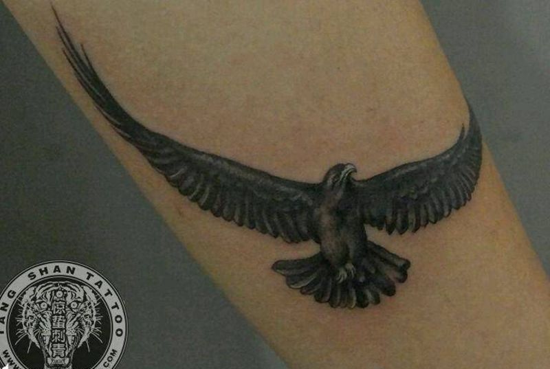 鹰纹身图片_手臂欧美动物唐山惊蛰成品纹身图案