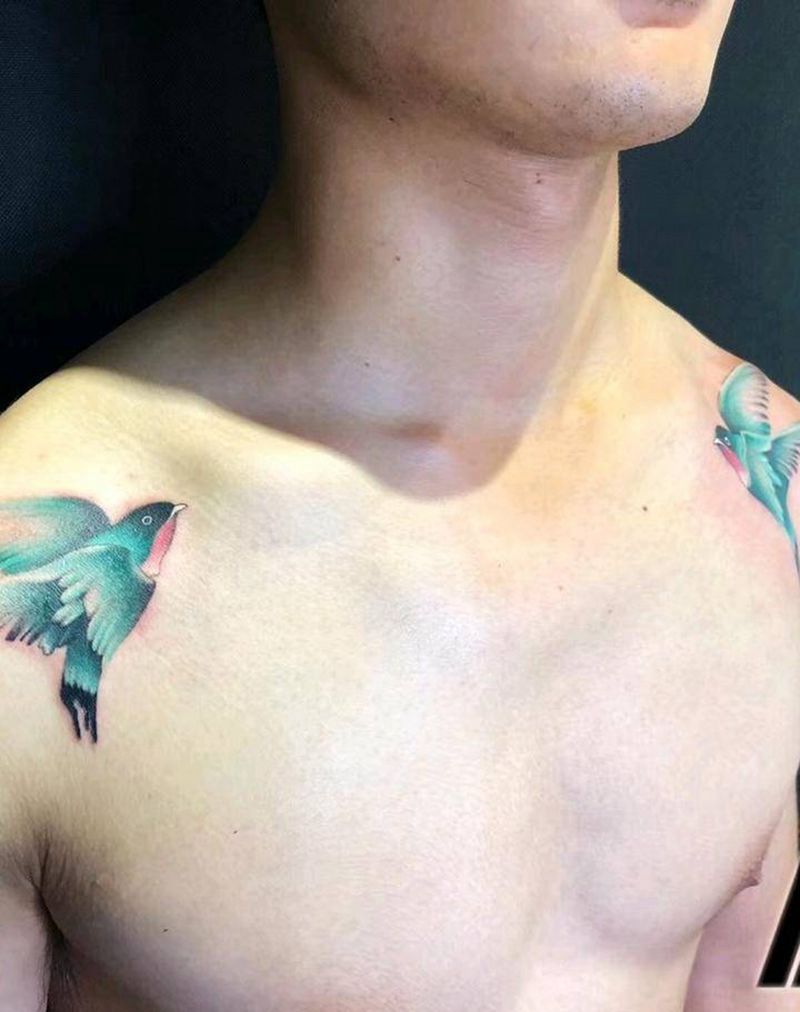 双肩鸟纹身图片_肩部新传统水彩纹身图案