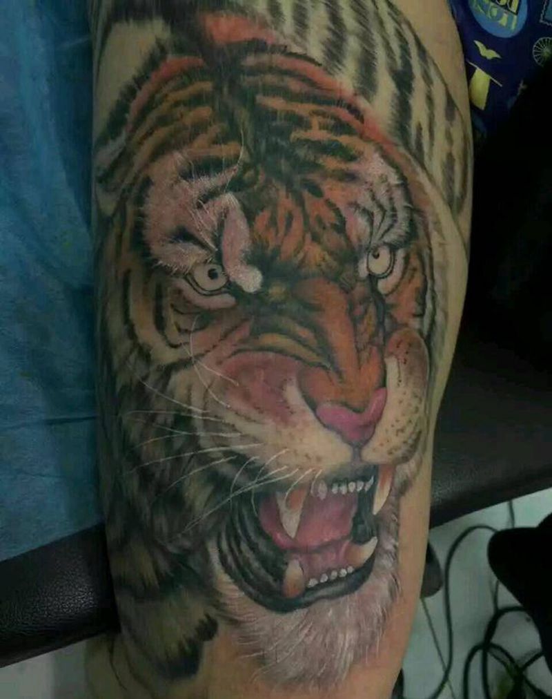 大腿虎纹身图片_腿部写实动物唐山惊蛰成品纹身图案