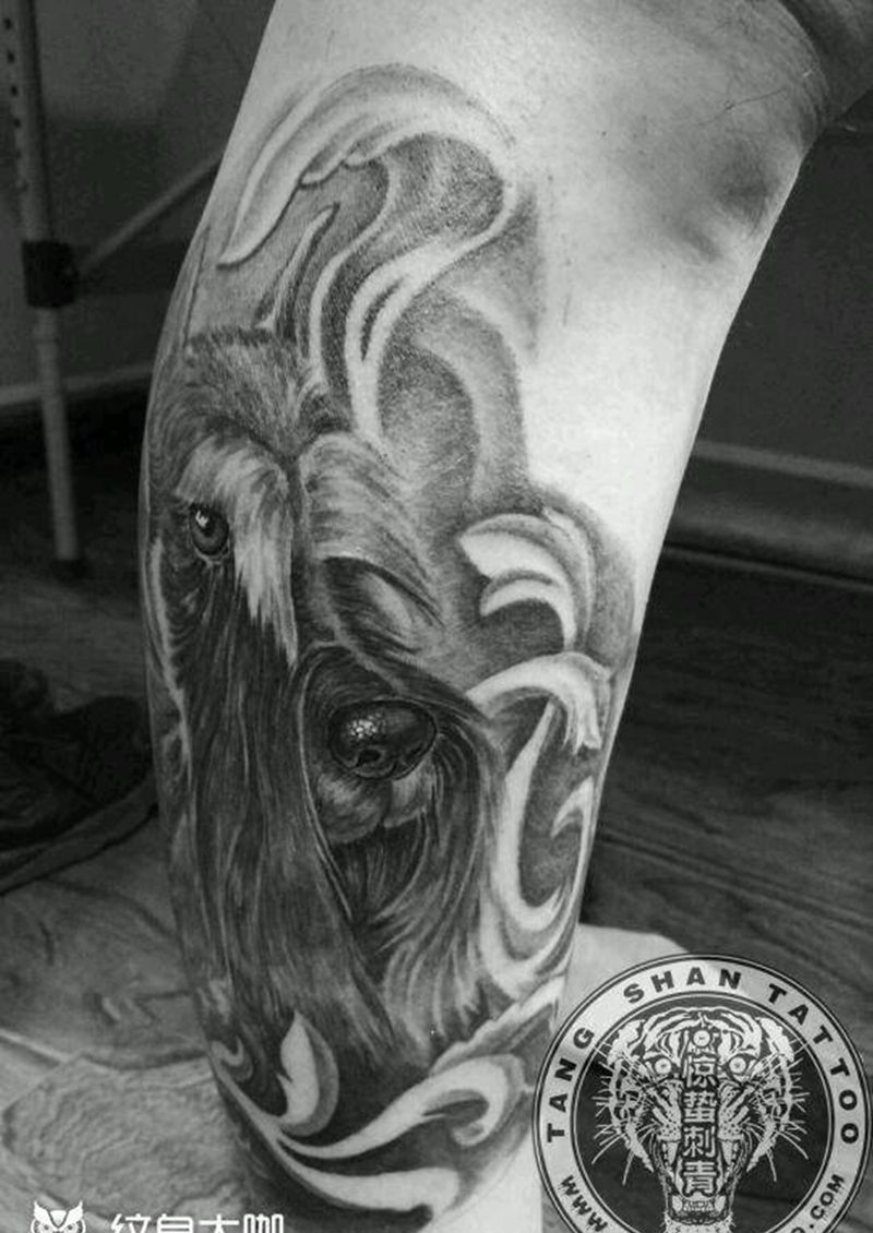 素描狗狗头像～萌宠纹身图片_腿部欧美写实动物原创唐山惊蛰成品纹身图案