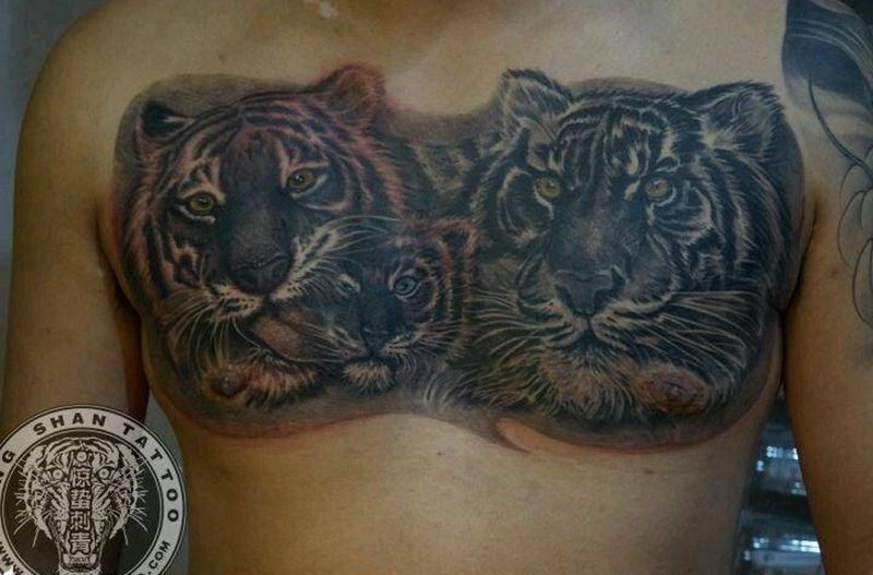 花胸三虎纹身图片_胸部写实动物原创唐山惊蛰成品纹身图案