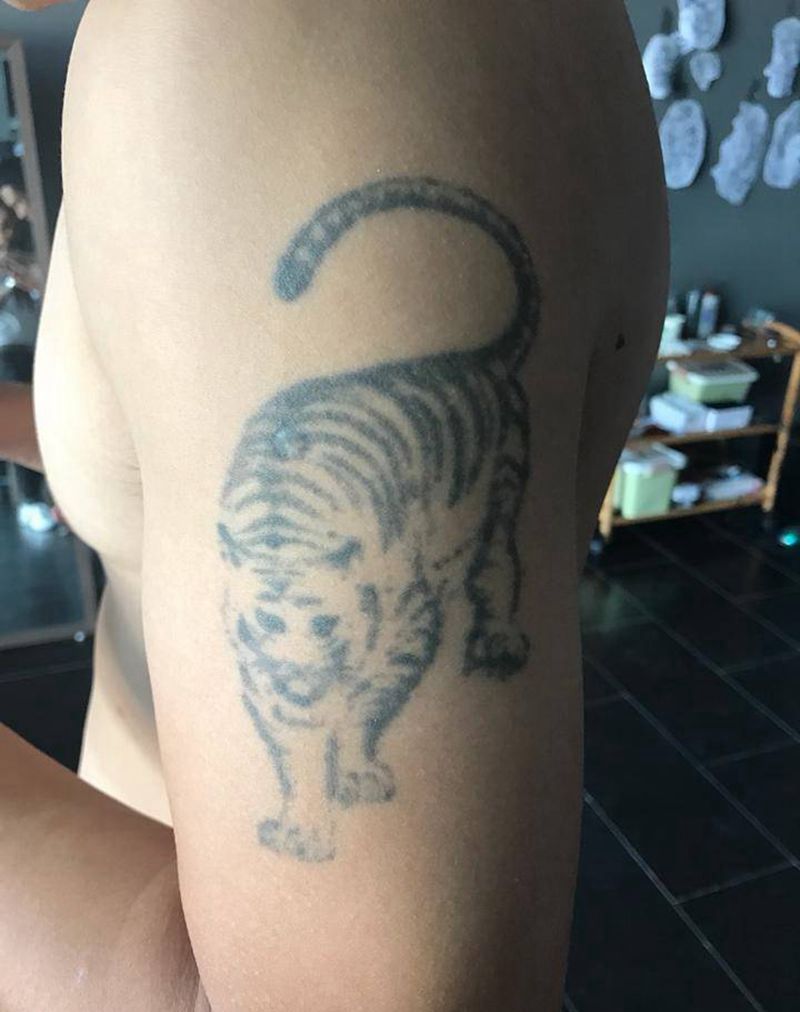 遮盖小老虎纹身图片