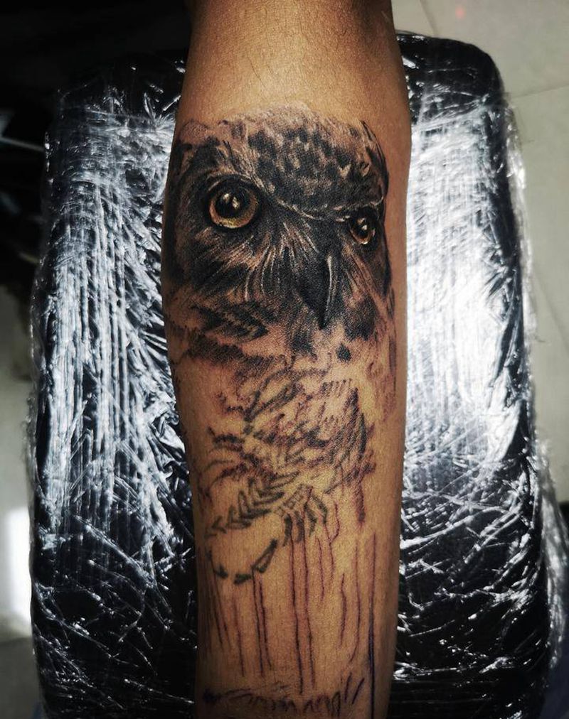 猫头鹰纹身图片_手臂欧美写实纹身图案