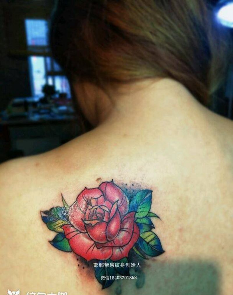 美女遮盖纹身图片_肩部胸部腹部腰部背部欧美传统植物成品纹身图案