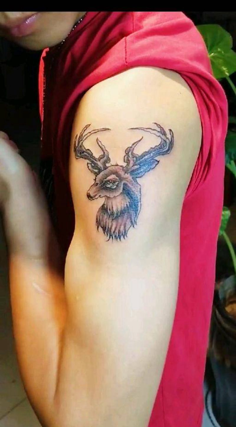 生财有鹿纹身图片_肩部欧美动物成品纹身图案