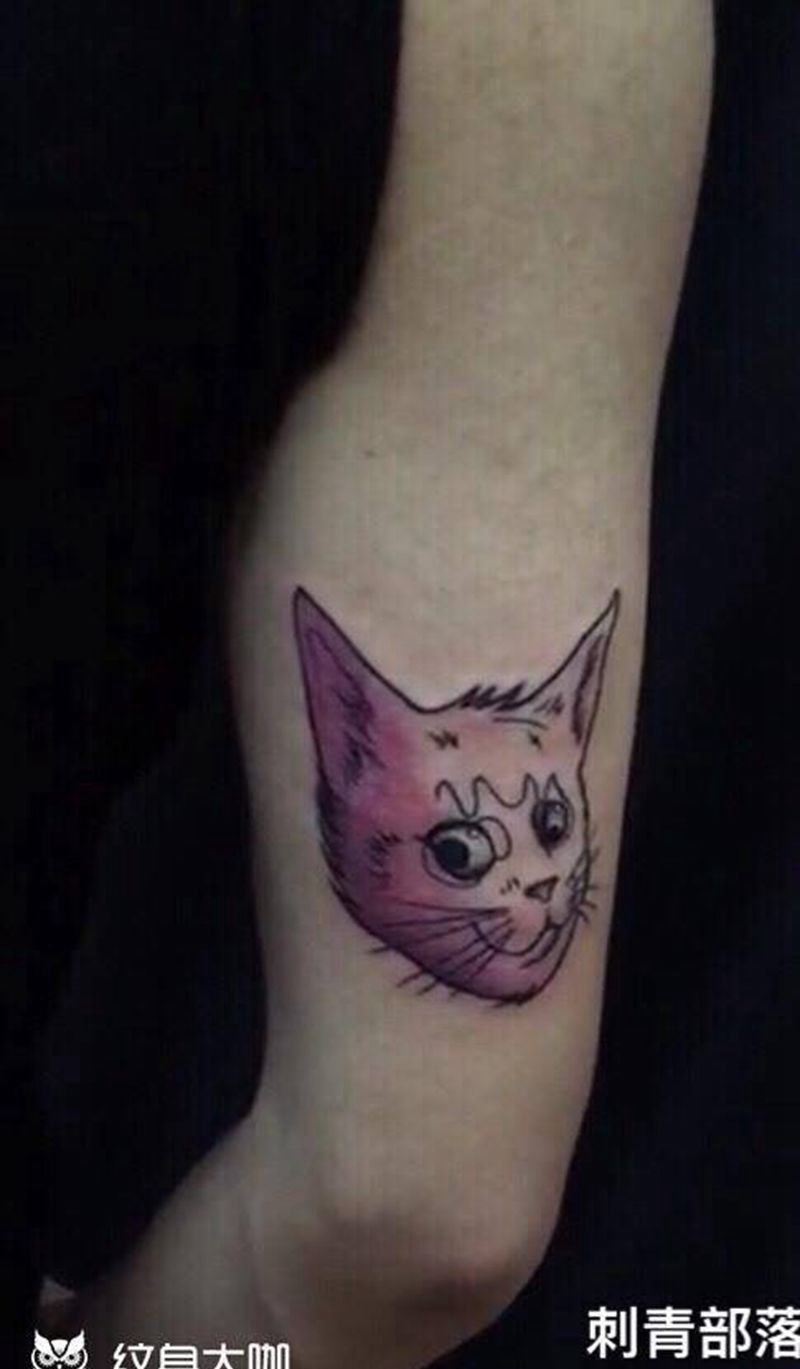 萌猫纹身图片
