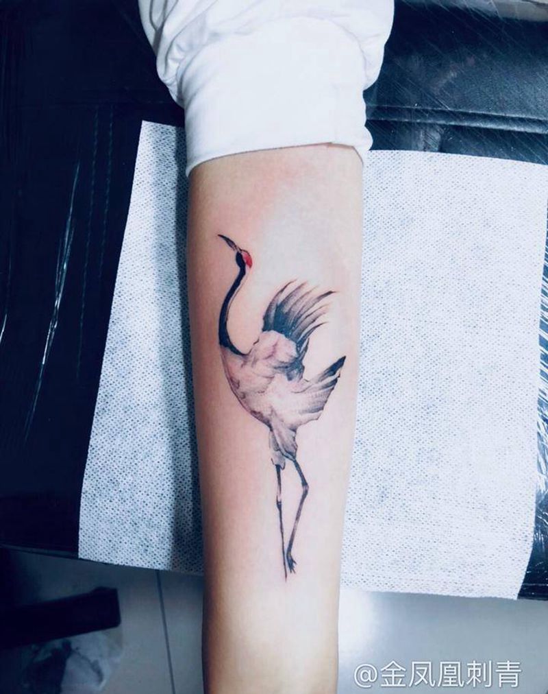 鹤纹身图片