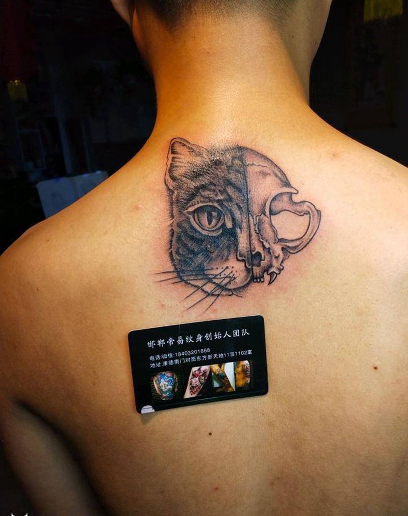 双面猫纹身图片_背部欧美清新动物成品纹身图案
