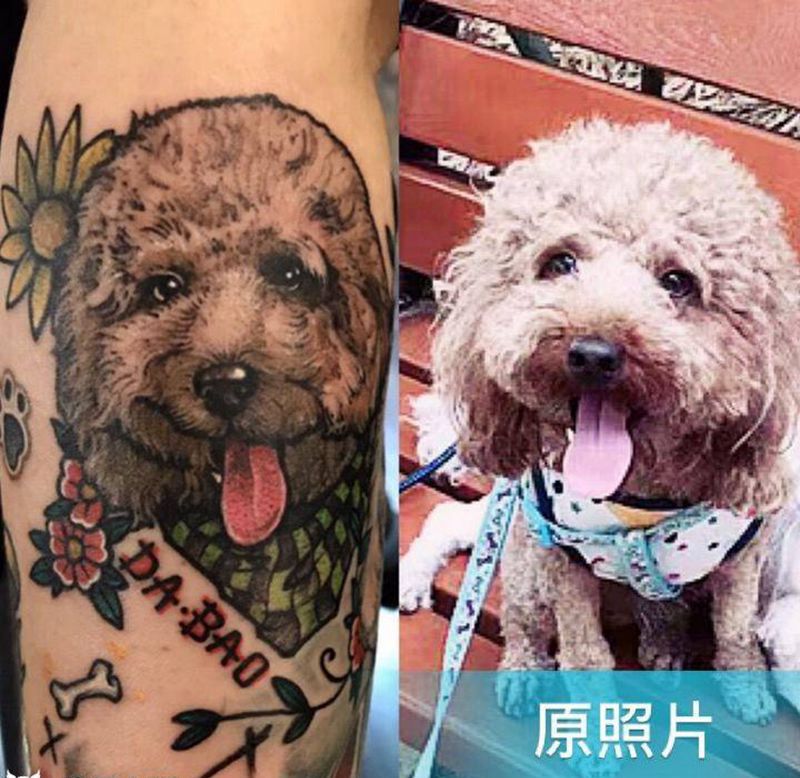 泰迪大宝纹身图片