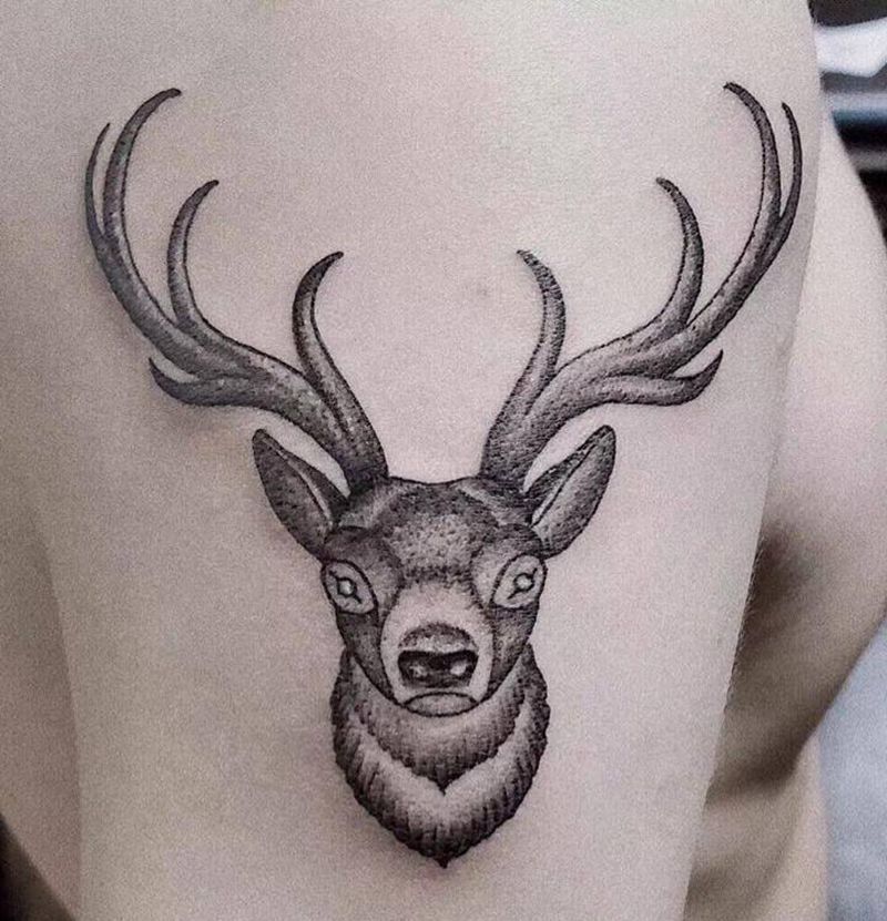 鹿头纹身图片_肩部纹身图案