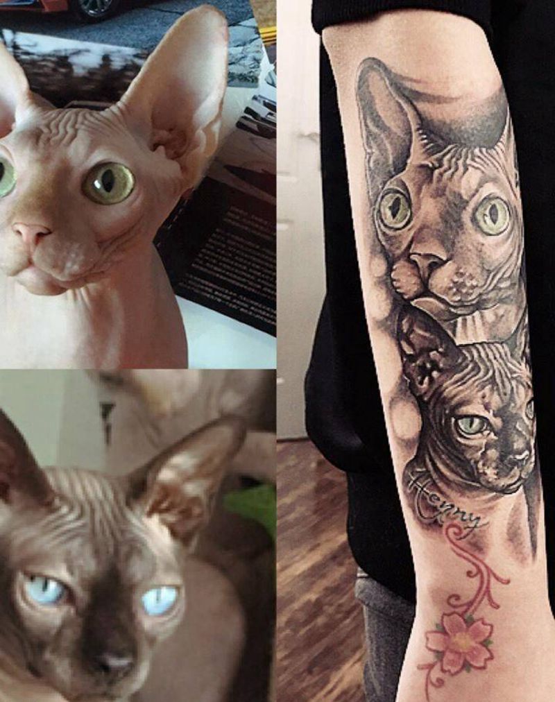 斯芬克斯猫纹身图片